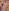 Small placeholder thumbnail